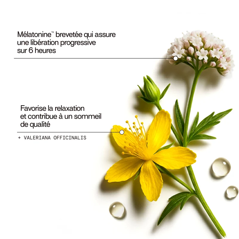 Pack 4 éco-recharges SOMMEIL LP | Réduit les réveils nocturnes | 4 x 21 jours