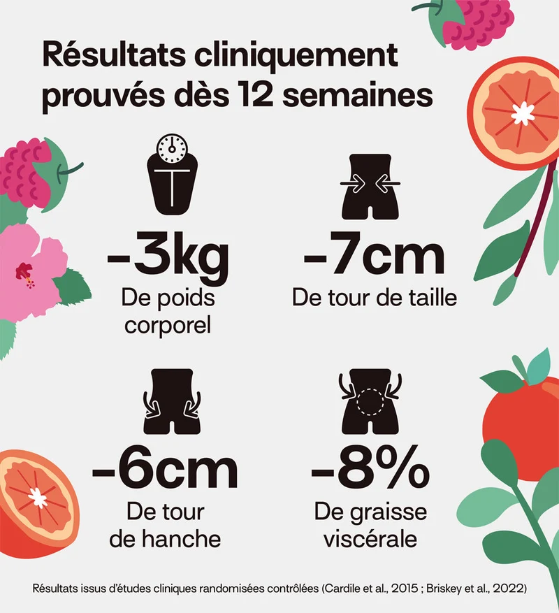 Pack 4 éco-recharges ULTRA SLIM MOROSIL | Brûle-graisse et régulation du poids | 21 jours