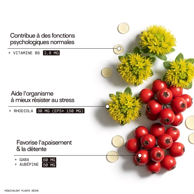 Éco-recharge STRESS | Anti-stress et anxiété | 21 jours