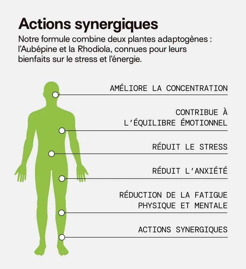 Éco-recharge STRESS | Anti-stress et anxiété | 21 jours