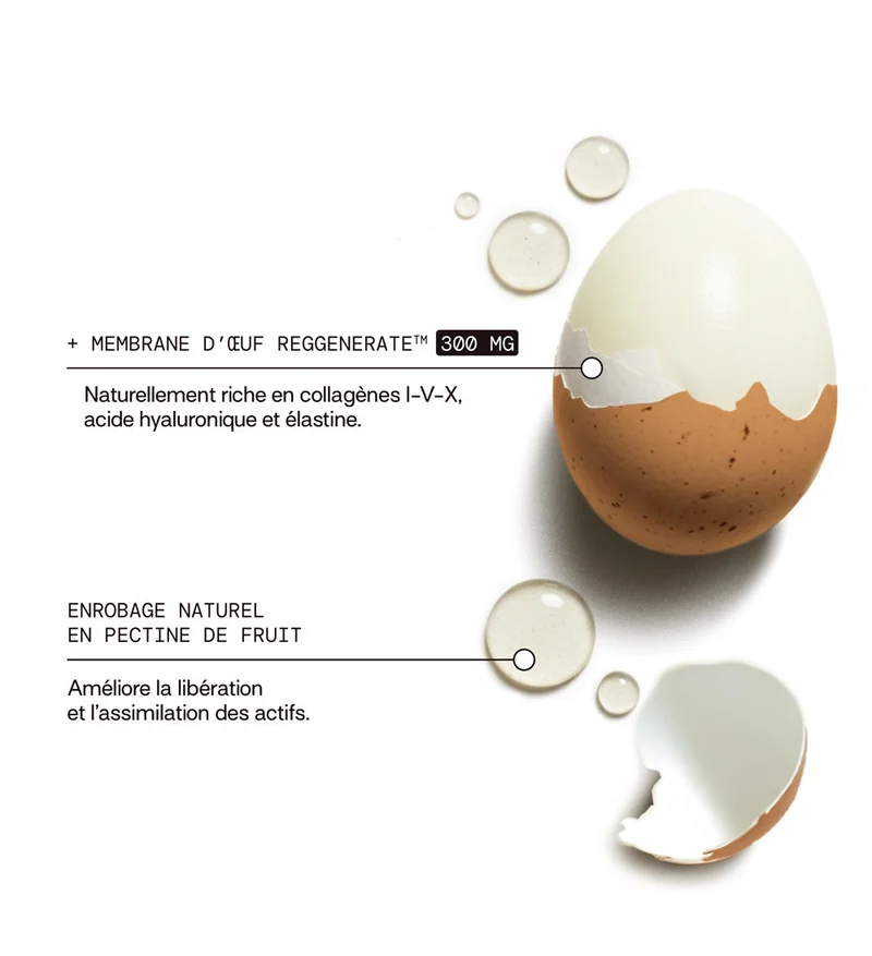 Pack 4 éco-recharges Collagène VG SANS SUCRES | Hydrate & raffermit la peau | 3 mois