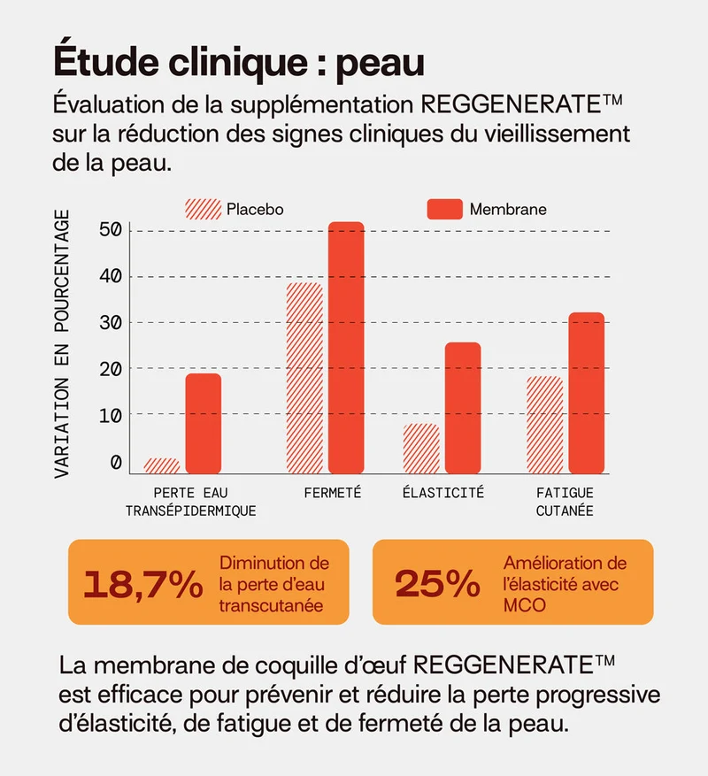 Pack 4 éco-recharges Collagène VG SANS SUCRES | Hydrate & raffermit la peau | 3 mois