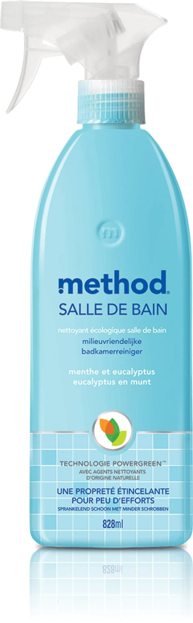 Bad-Reiniger Eukalyptus Mint 490 ml