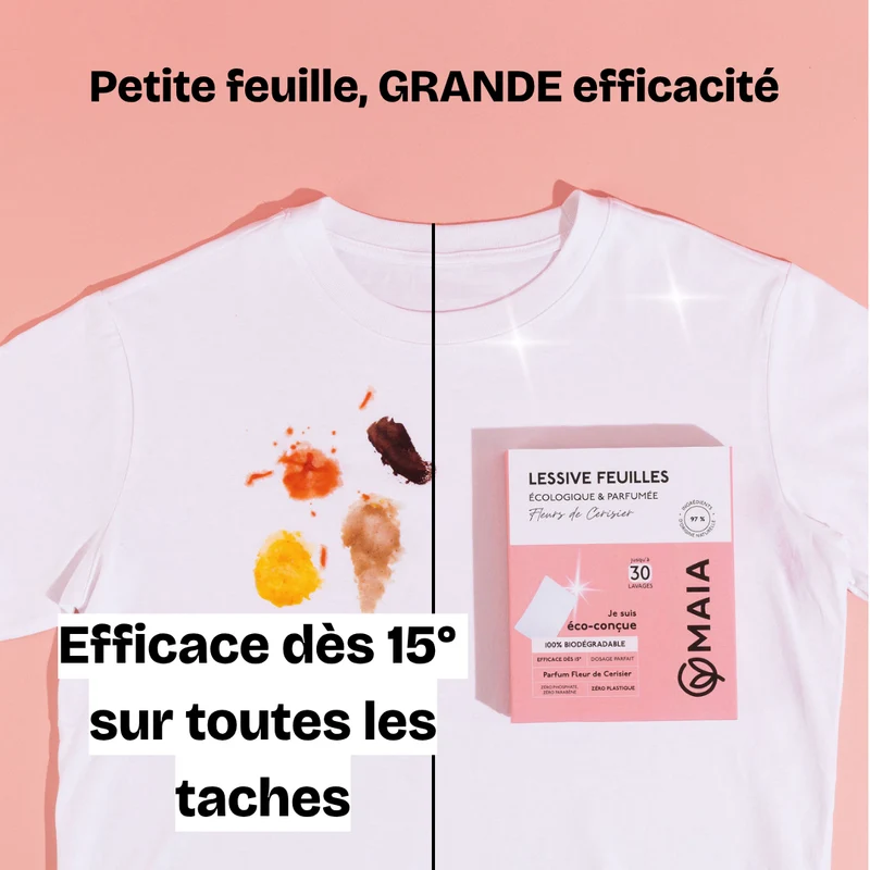 Lessive Feuilles Écologique Fleurs de Cerisier - 60 lavages