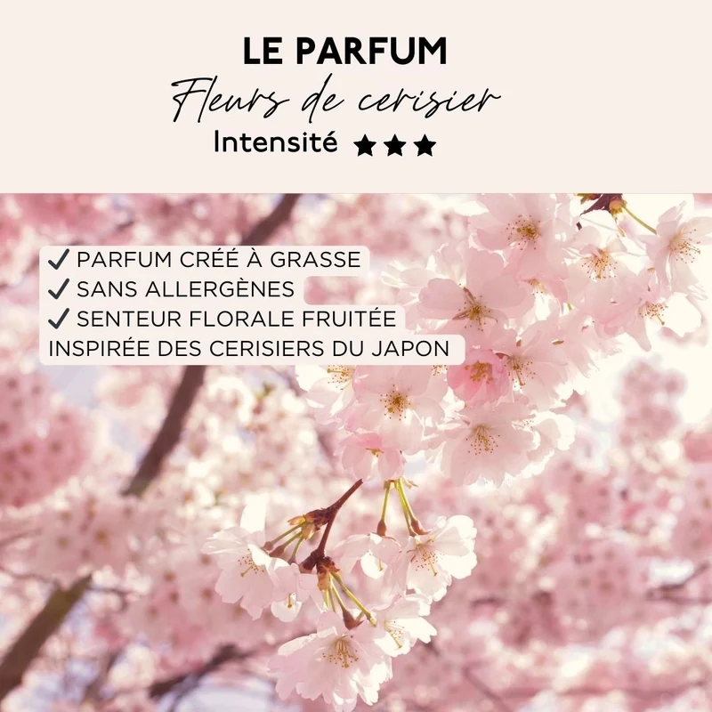 Duo Lessives Fleurs de Cerisier - 66 lavages
