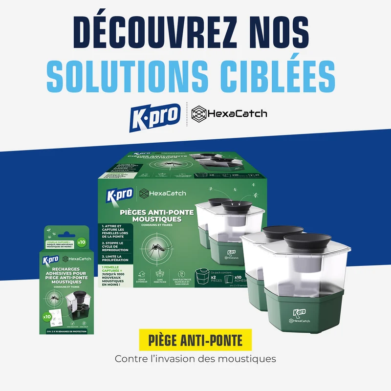 Pack de 2 Pièges anti-ponte moustiques communs et tigres + 10 adhésifs