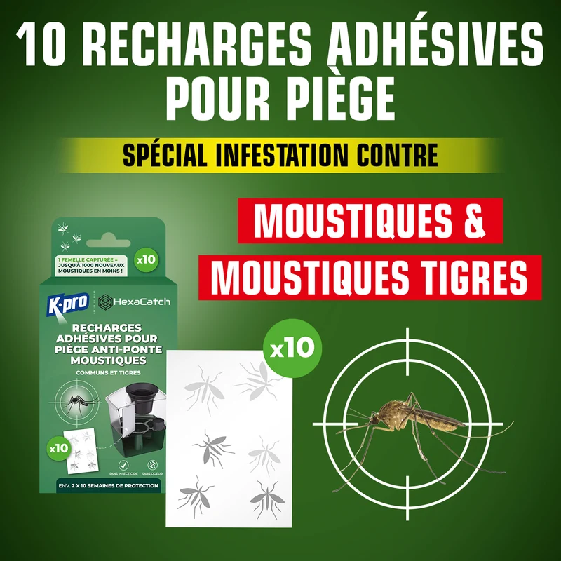 Pack de 10 recharges adhésives pour Pièges anti-ponte moustiques