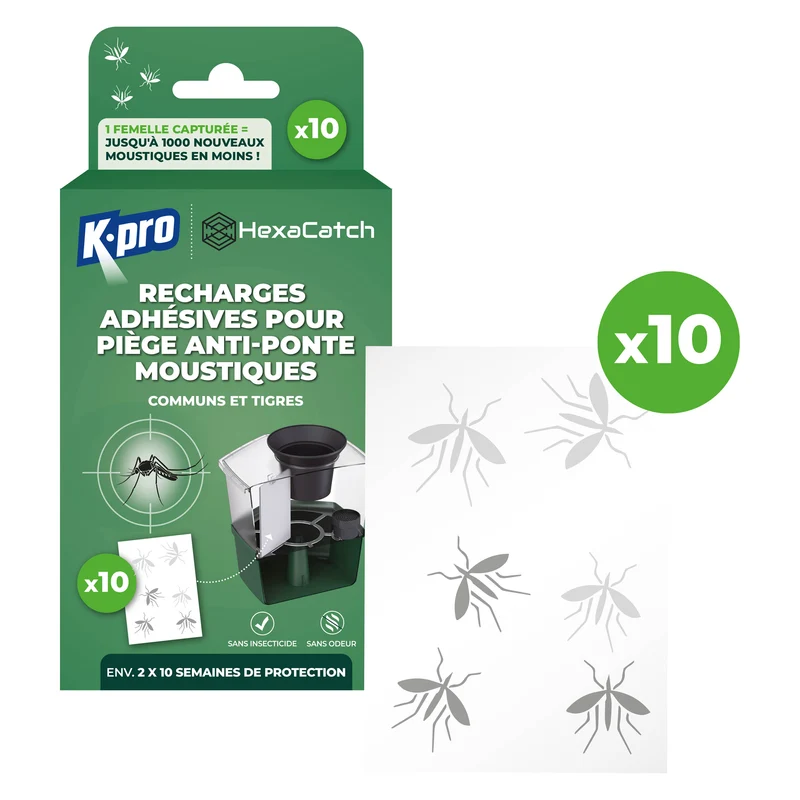 Pack de 10 recharges adhésives pour Pièges anti-ponte moustiques