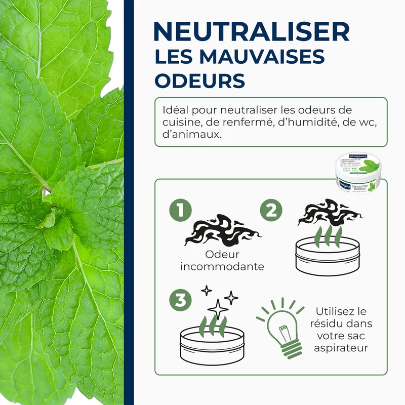 Destructeur d'odeurs Menthe