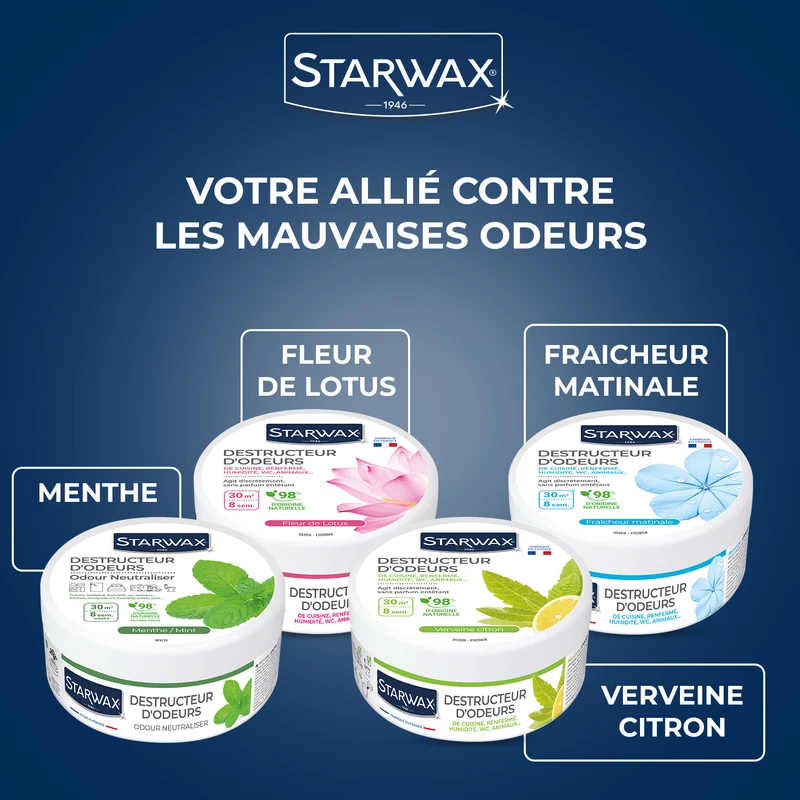 Destructeur d'odeurs Menthe