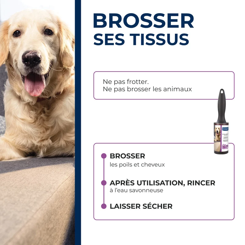 Brosse adhésive lavable