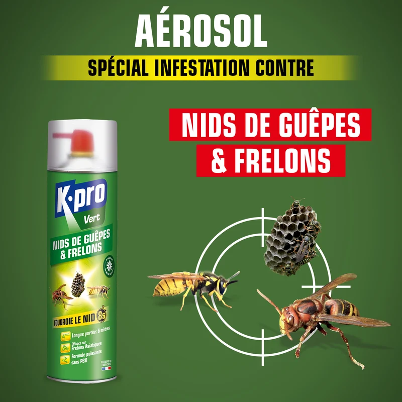 Aérosol foudroyant nids de guêpes et frelons