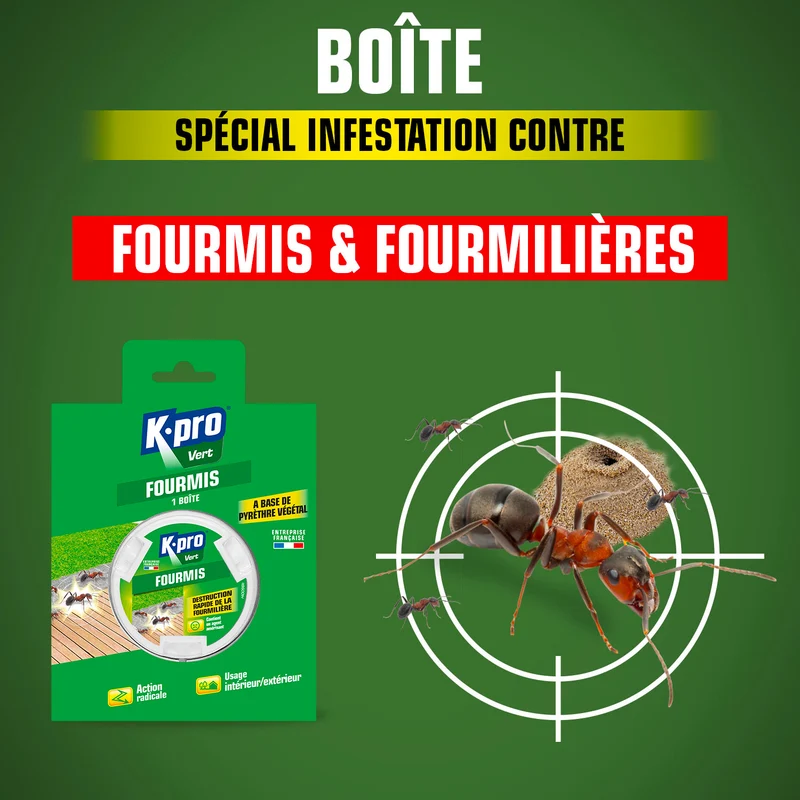 Boîte fourmis K.pro