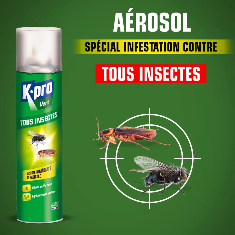 Aérosol tous insectes K.PRO