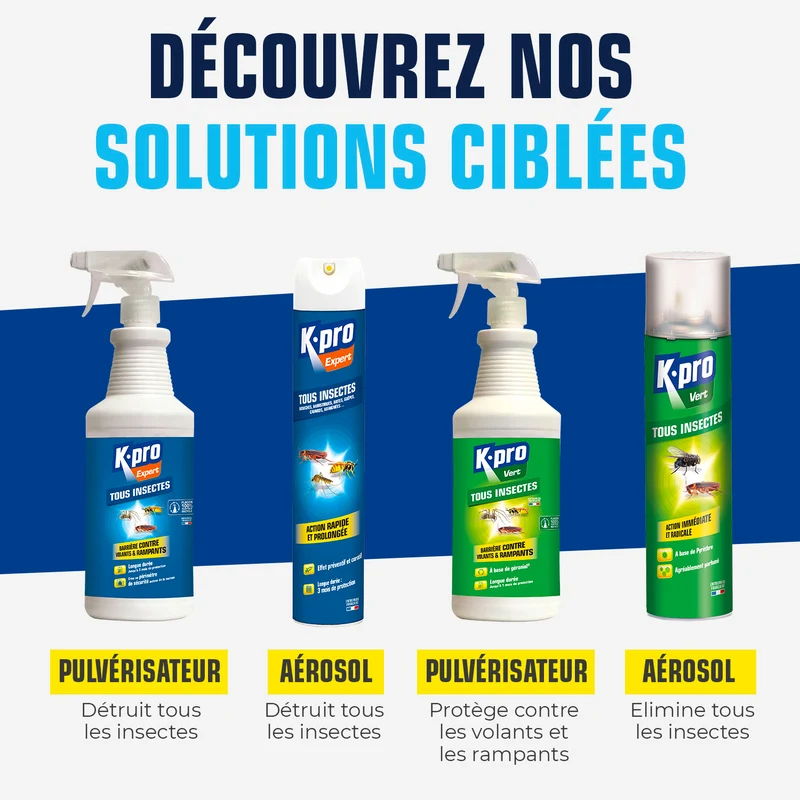 Aérosol tous insectes K.PRO