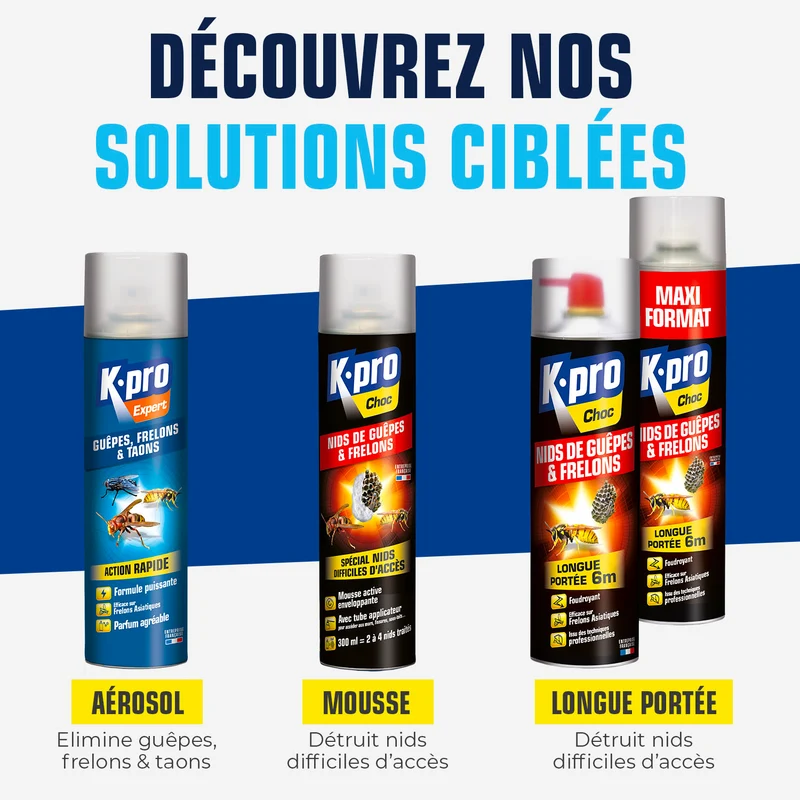Aérosol foudroyant choc nids de guêpes et frelons