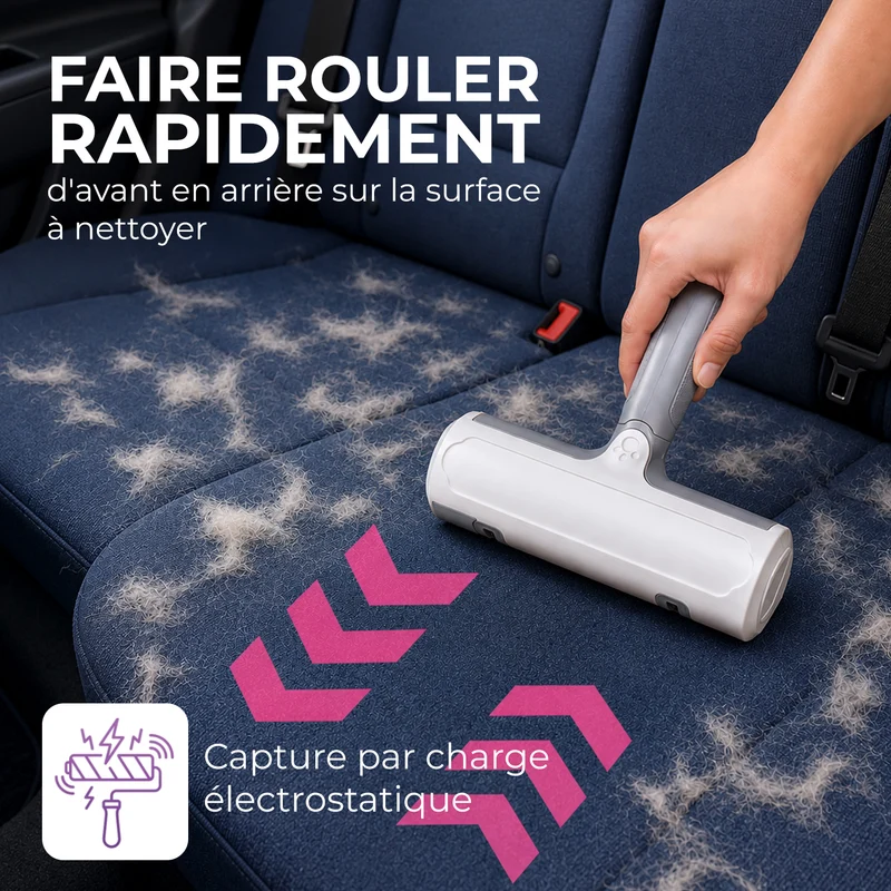 Brosse anti-poils animaux