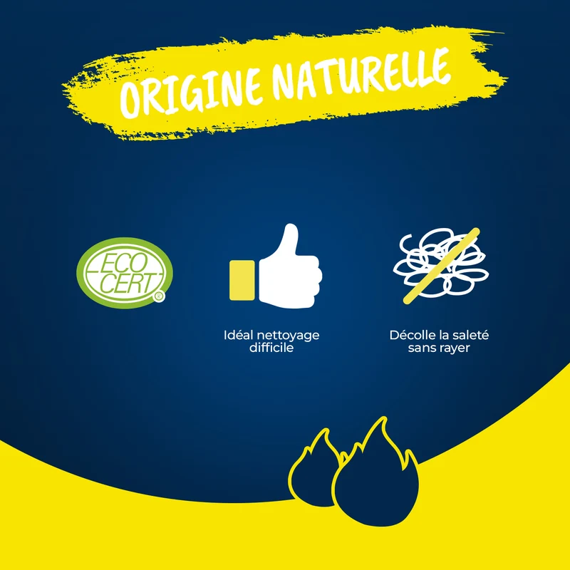 Nettoyant plancha et barbecue