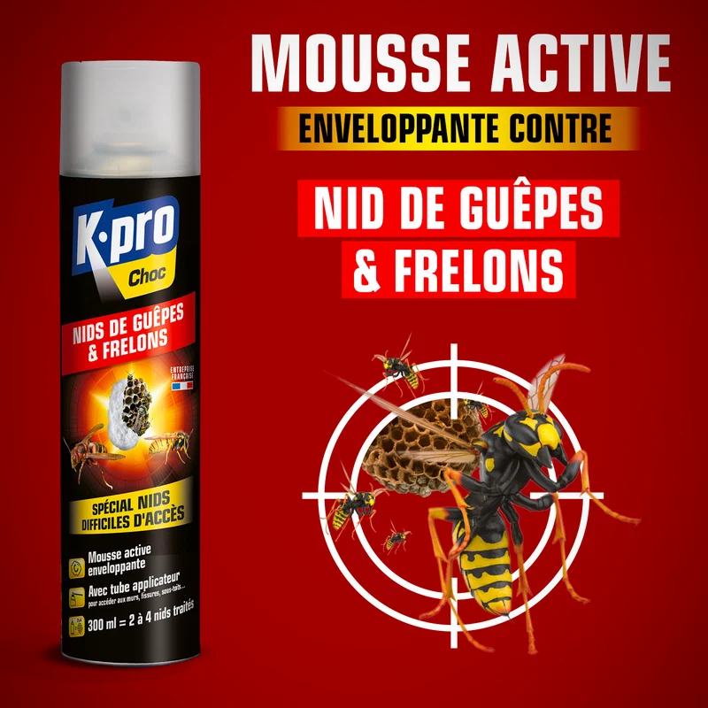 Aérosol nids de guêpes et frelons
