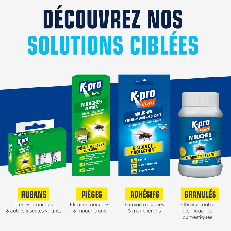 Pièges à mouches
