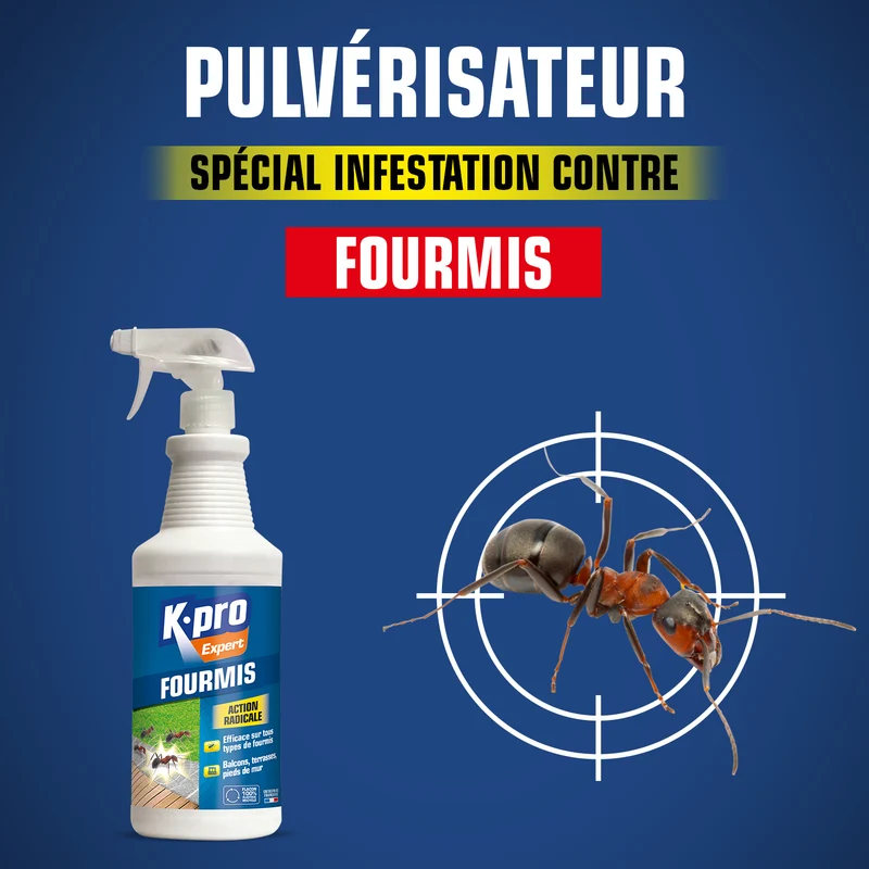 Pulvérisateur fourmis