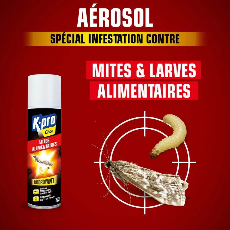 Aérosol foudroyant mites alimentaires