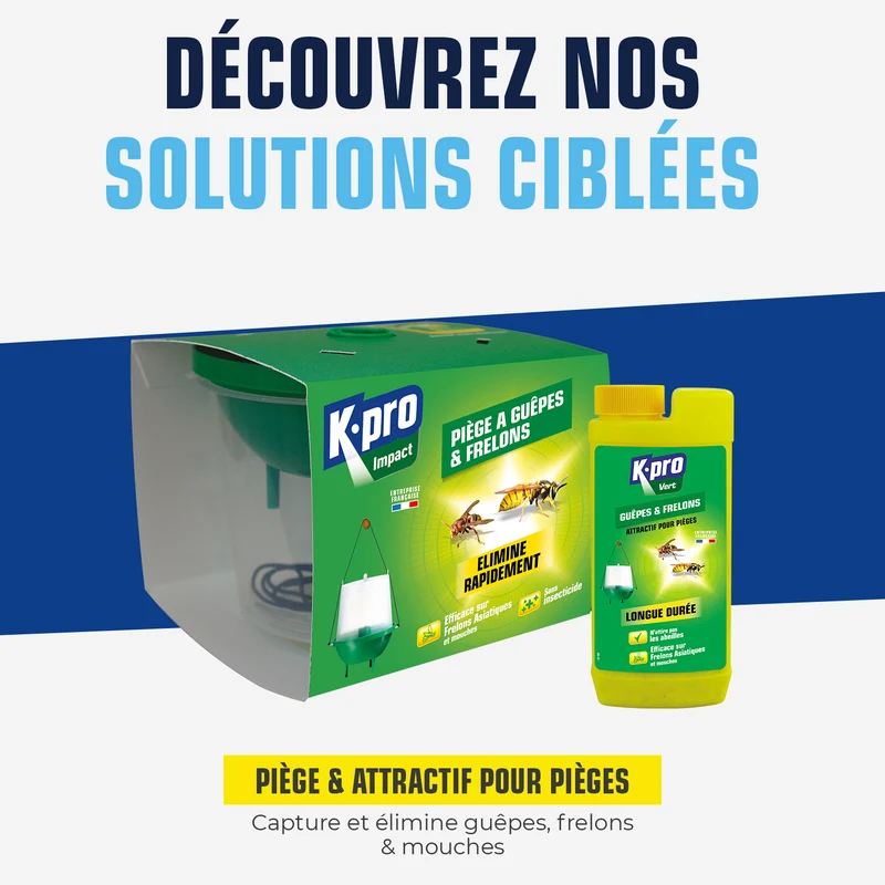 Piège à guêpes et frelons