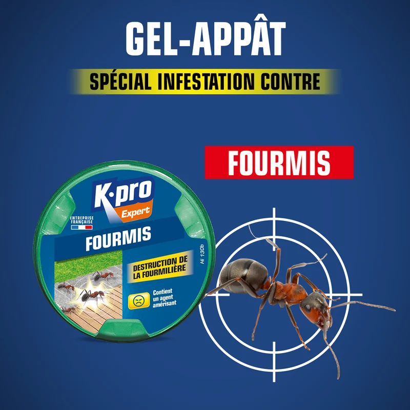 Boite fourmis