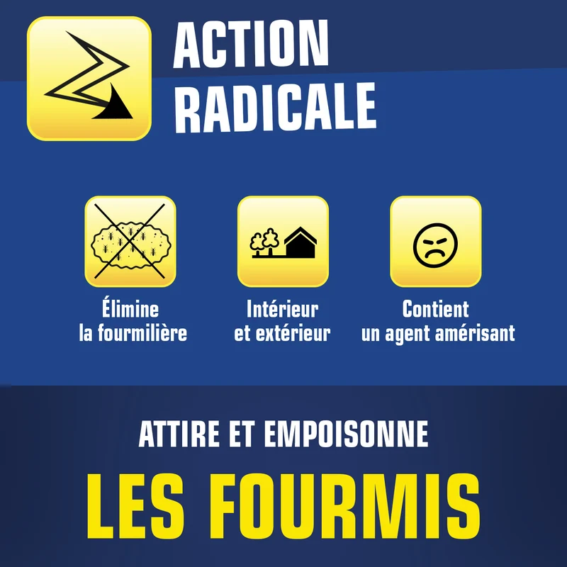 Boite fourmis