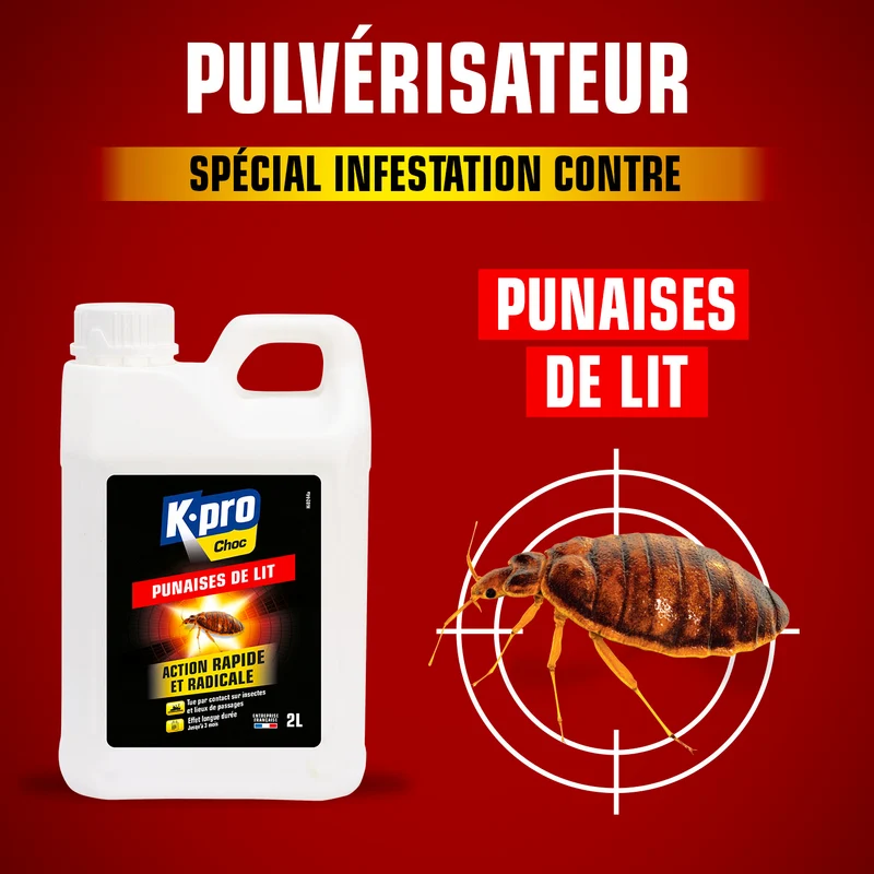 Recharge insecticide punaises de lit