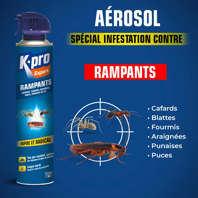 Aérosol tous insectes RAMPANTS