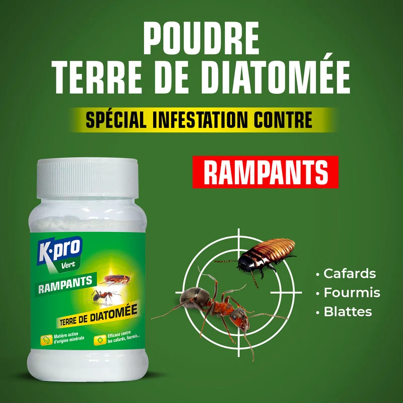 Terre de Diatomée