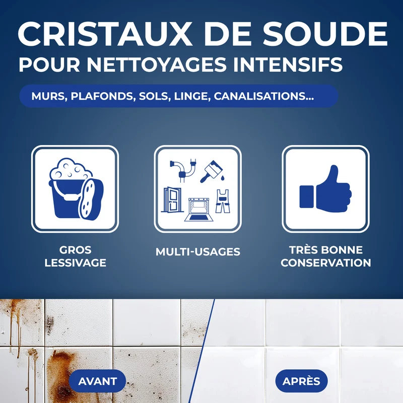 Cristaux de soude gros travaux 1,4kg