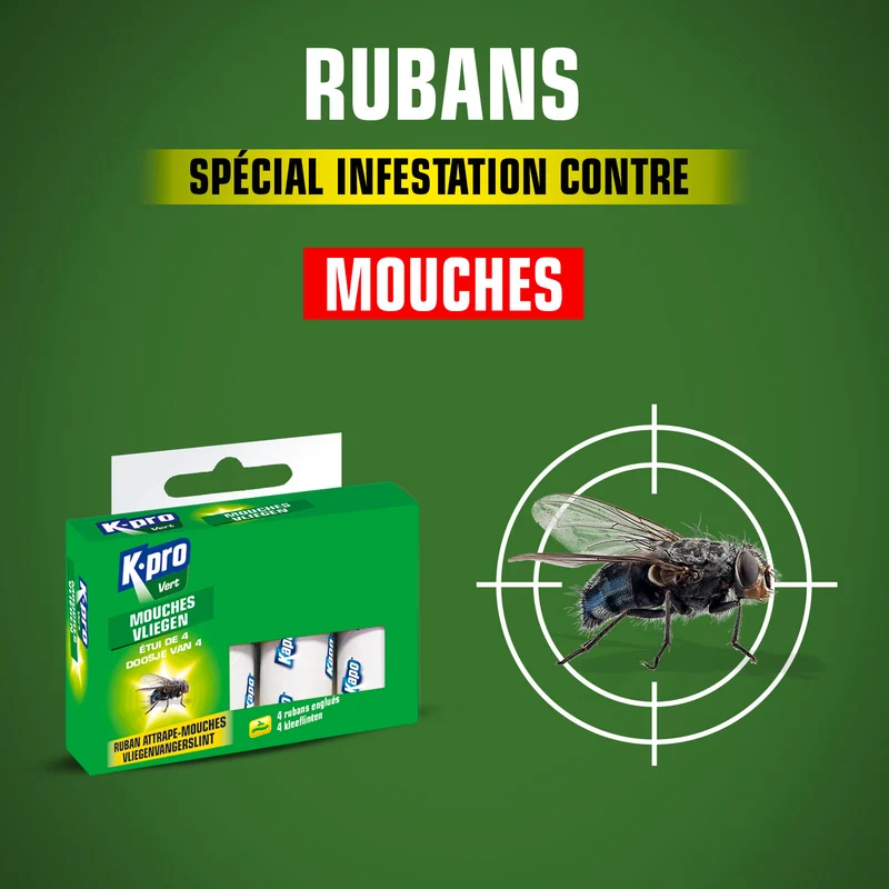 Rubans attrape-mouches
