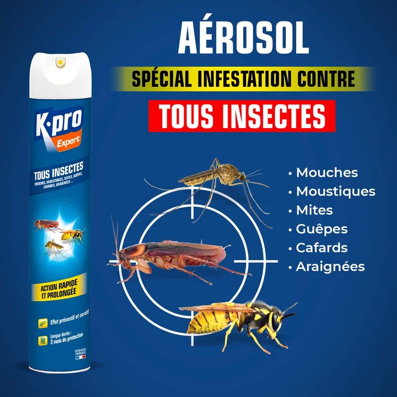 Aérosol tous insectes