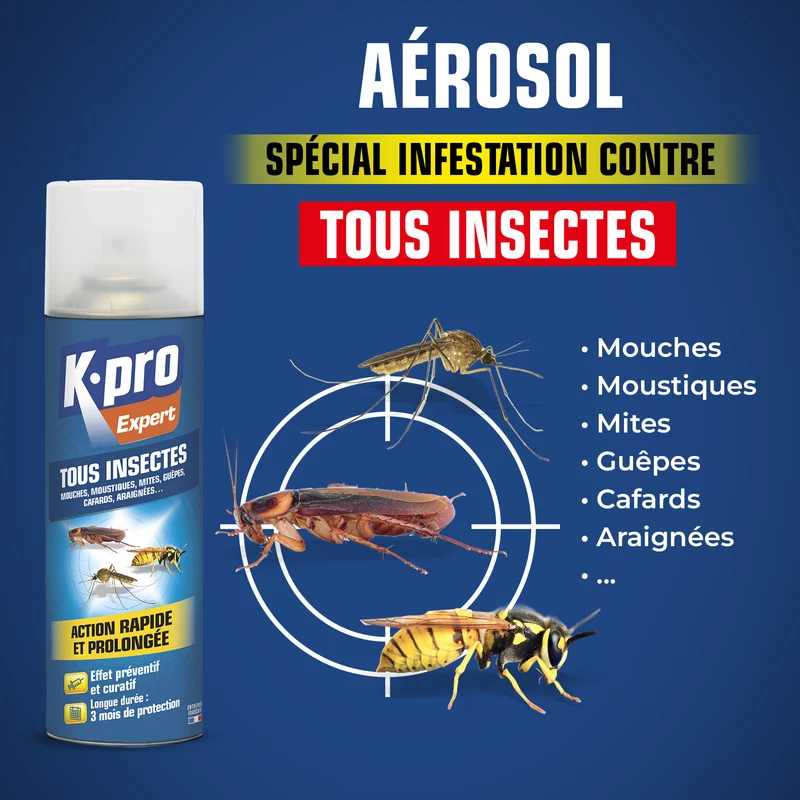 Aérosol tous insectes