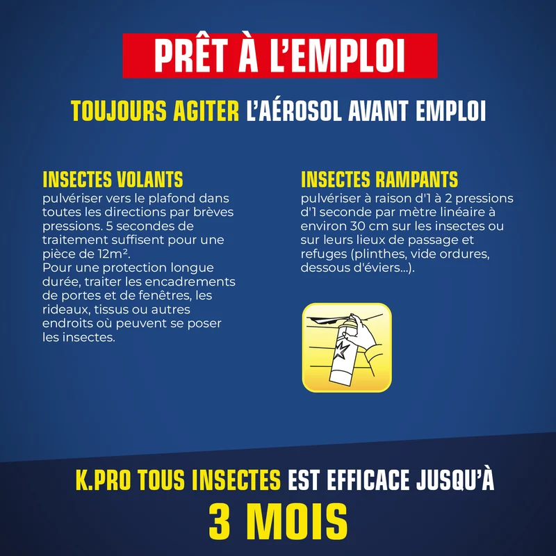 Aérosol tous insectes
