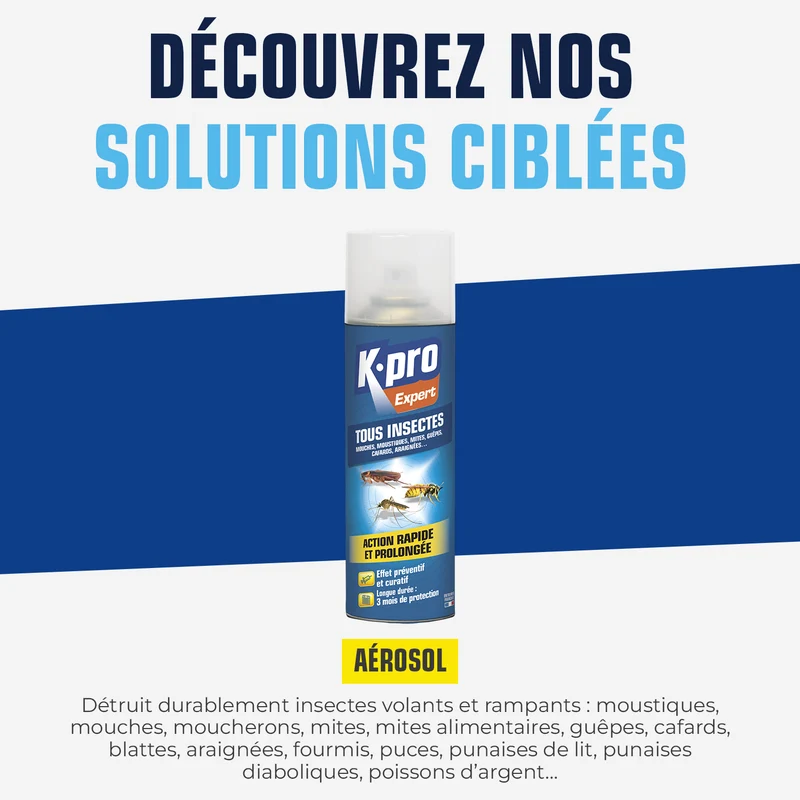 Aérosol tous insectes