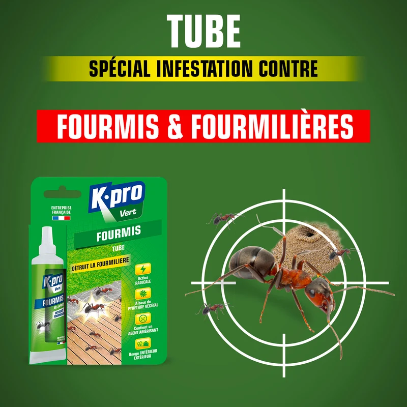 Tube fourmis