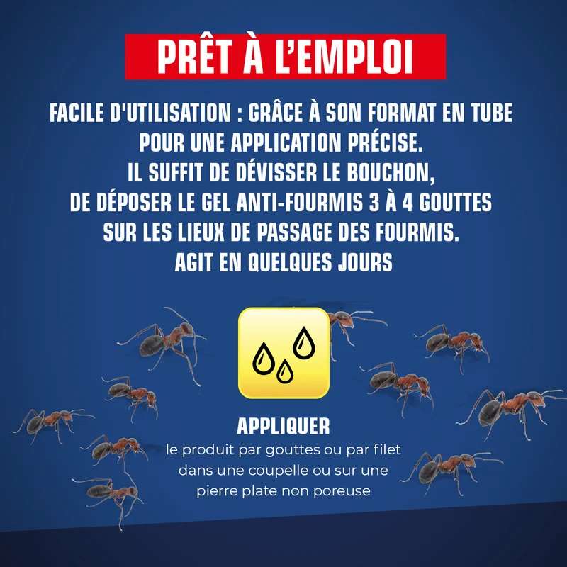 Tube fourmis