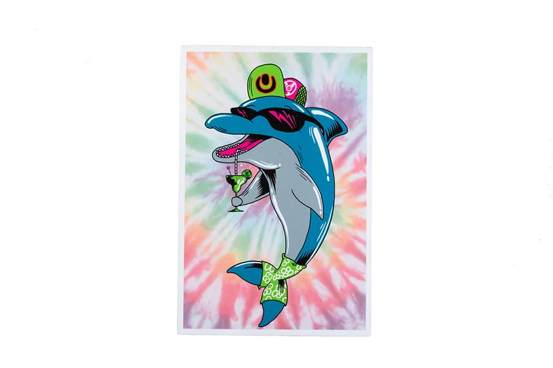 Dolphin Magnets
