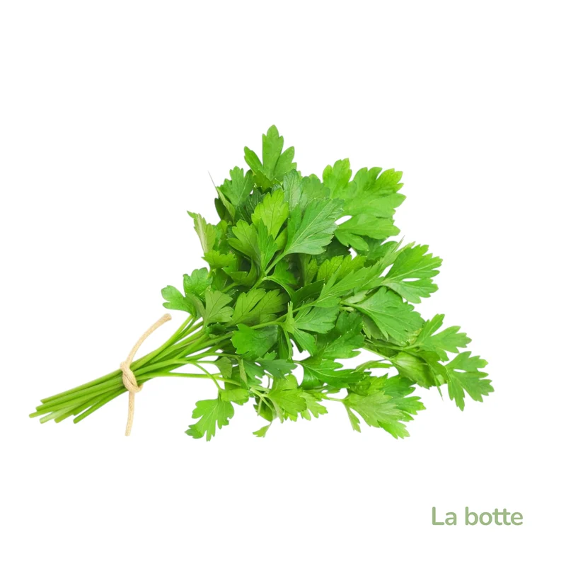 Persil plat la botte-France