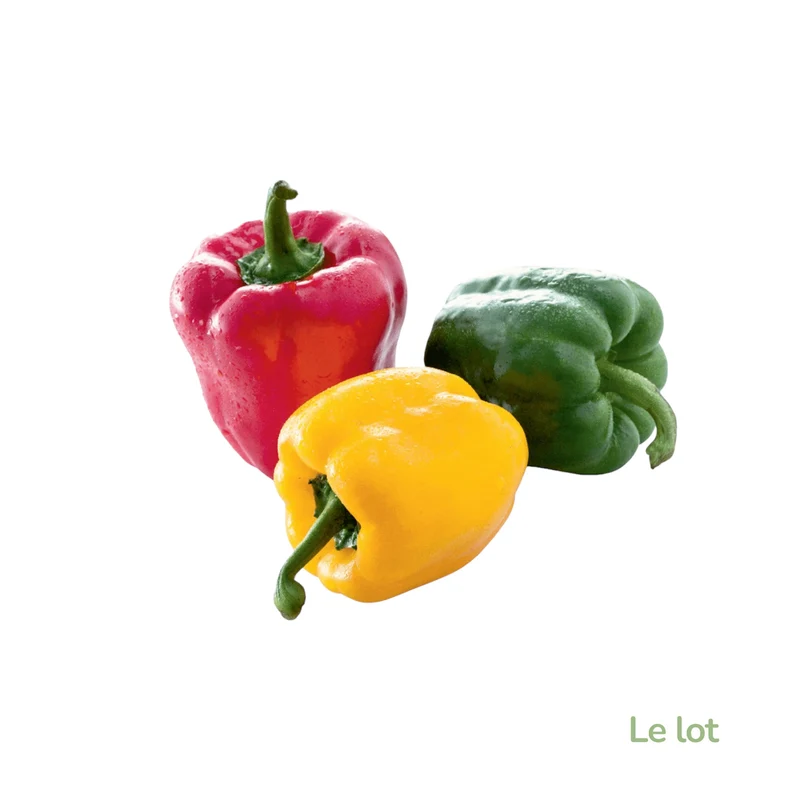 Poivrons tricolores 3 pièces-Espagne
