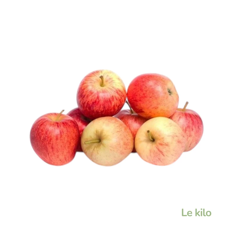 Pomme Gala 1kg -France