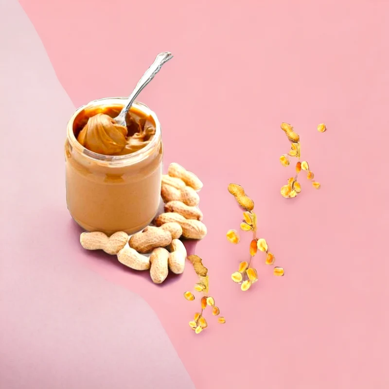Beurre de cacahuète Peanut Butter crunchy Menguy's 454g