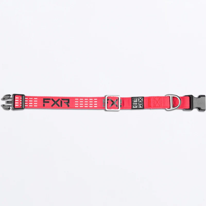 Dog Collar
