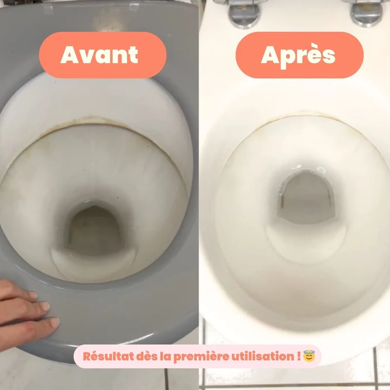 Nettoyant WC (x15)