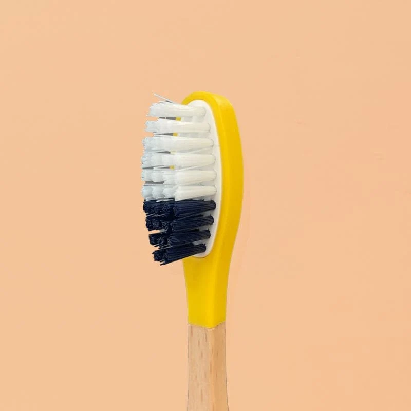 Têtes de Brosse à Dents (x3) (poils medium)