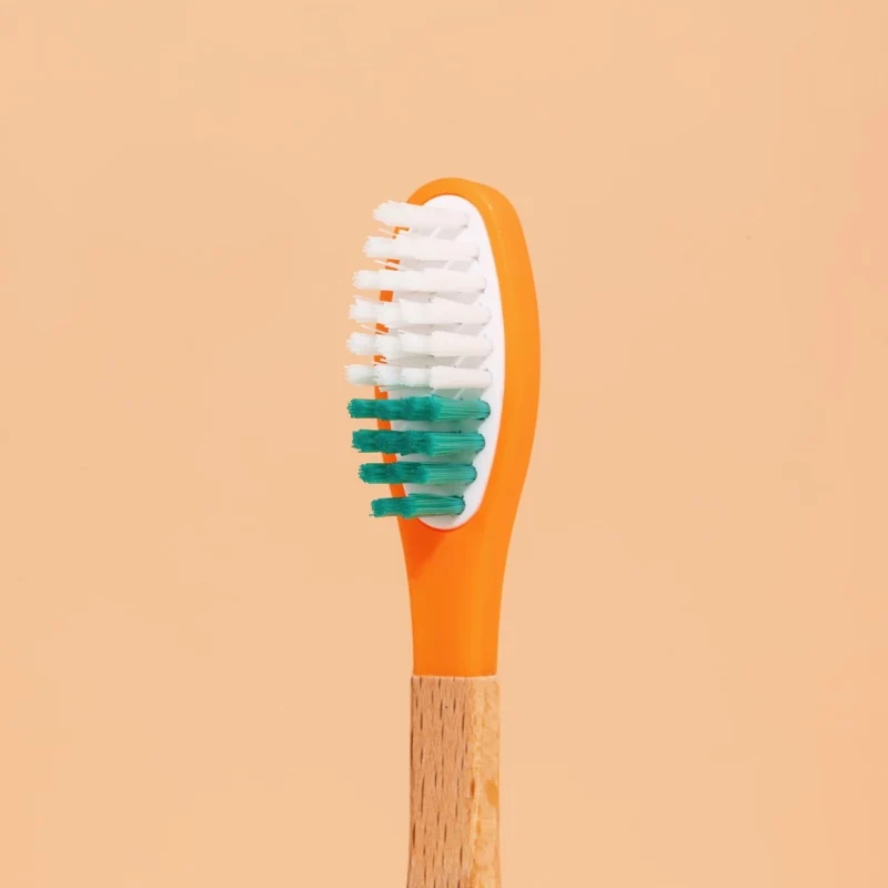 Têtes de Brosse à Dents (x3) (poils souples)
