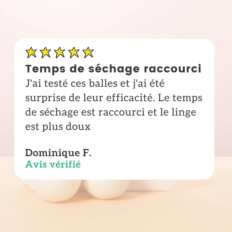 Balles de Séchage (x3)